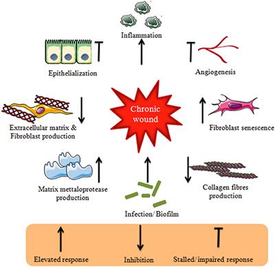 Challenges in Healing Wound: Role of Complementary and Alternative Medicine